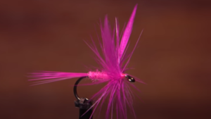Classic Dry Fly with Hackle Tip Wings