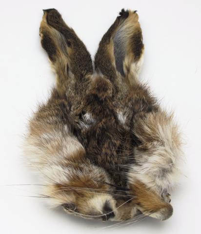 HARES MASK